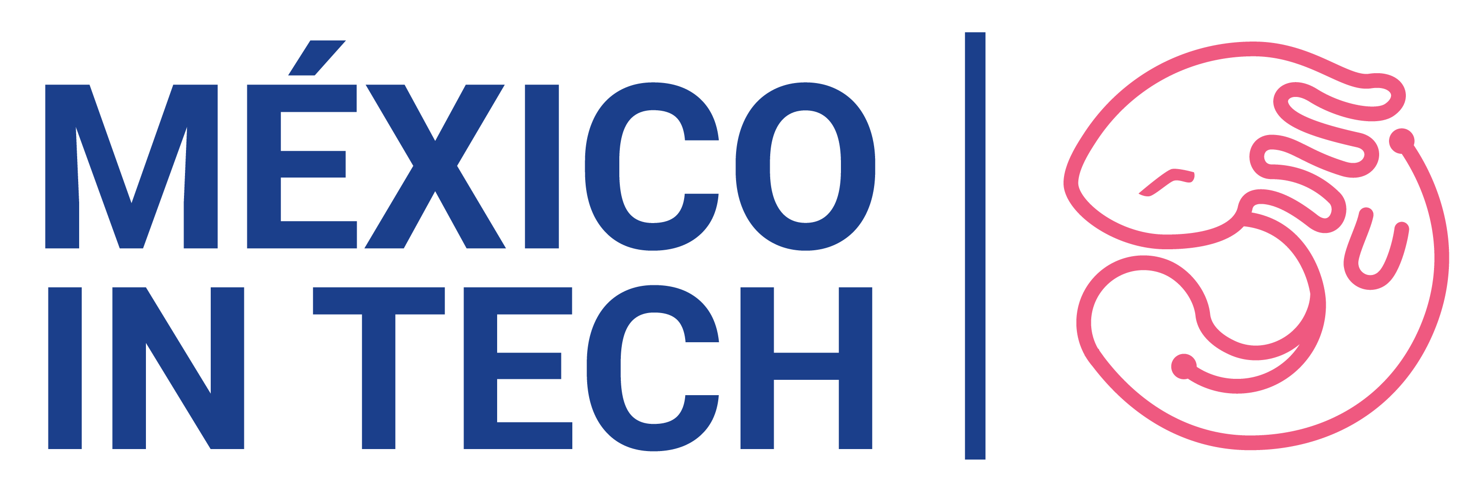 Mexico in Tech